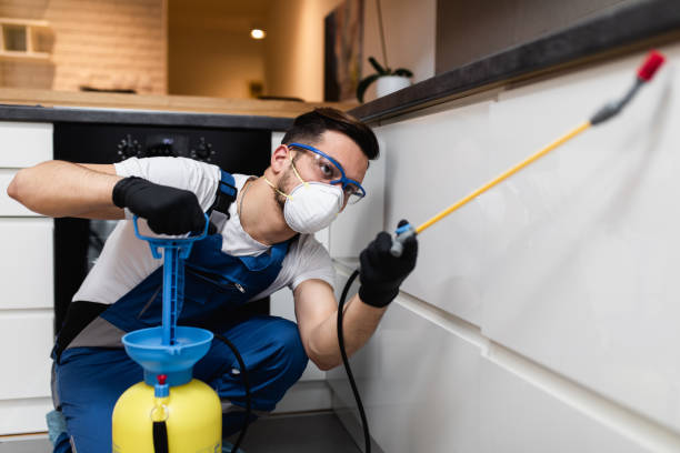 Best Pest Prevention Services  in Welcome, NC