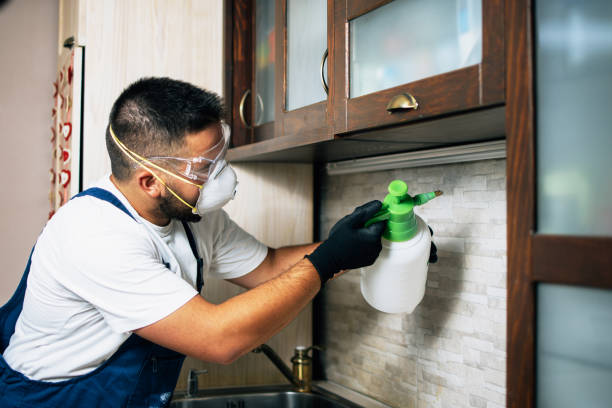 Best Exterminator Services  in Welcome, NC