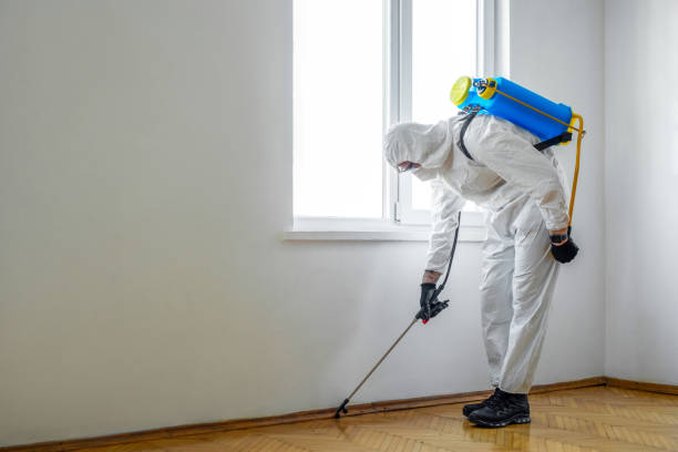 Best Flea Control Services  in Welcome, NC