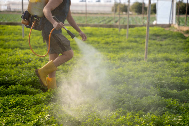 Best Pest Control Cost  in Welcome, NC