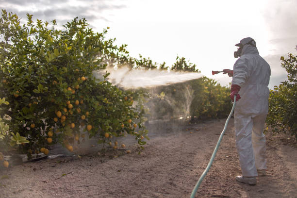 Best Wildlife Control Services  in Welcome, NC