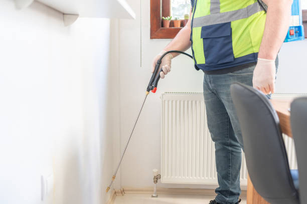Best Termite Control Services  in Welcome, NC