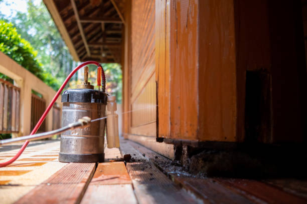 Best Insect Control  in Welcome, NC