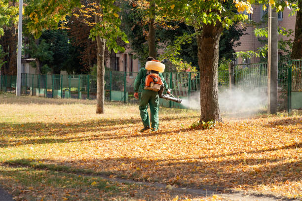 Best Insect Control  in Welcome, NC