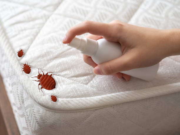Flea Control Services in Welcome, NC