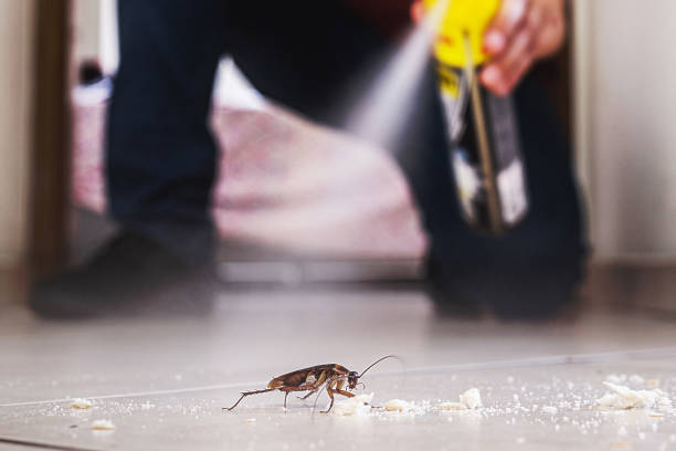 Best Pest Removal Services  in Welcome, NC