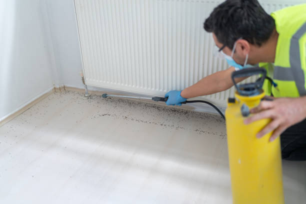 Best Wasp Removal Services  in Welcome, NC